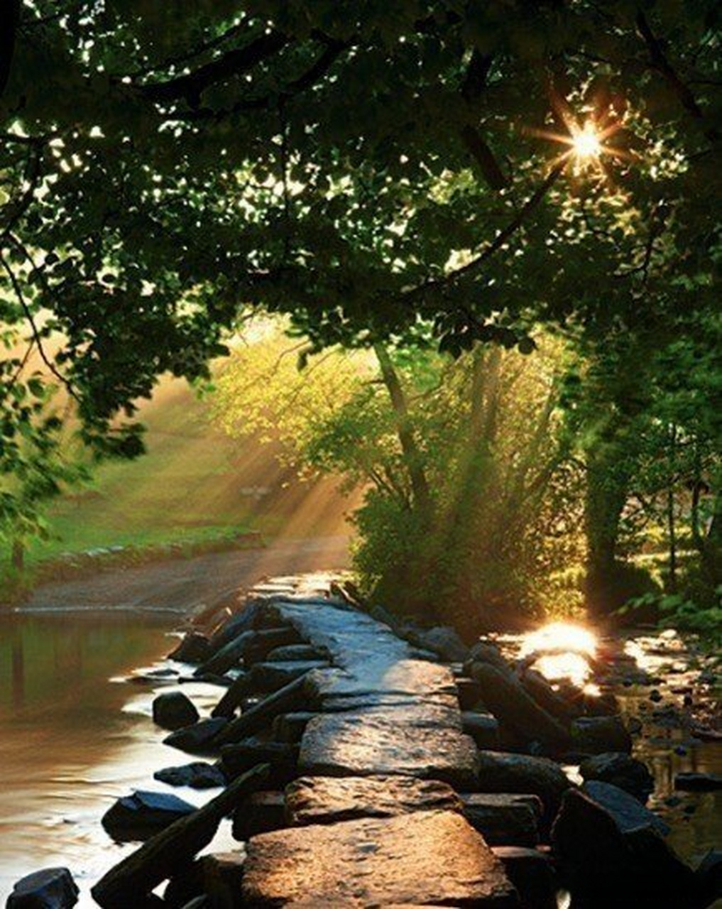 心有烦躁,情有无奈远.51,事不在,人不在,事不在,过去的不可挽回.