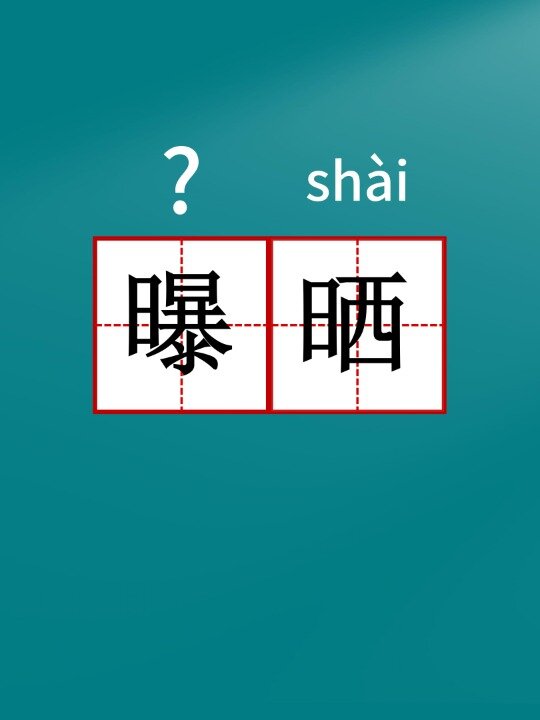 每天认识一个词语