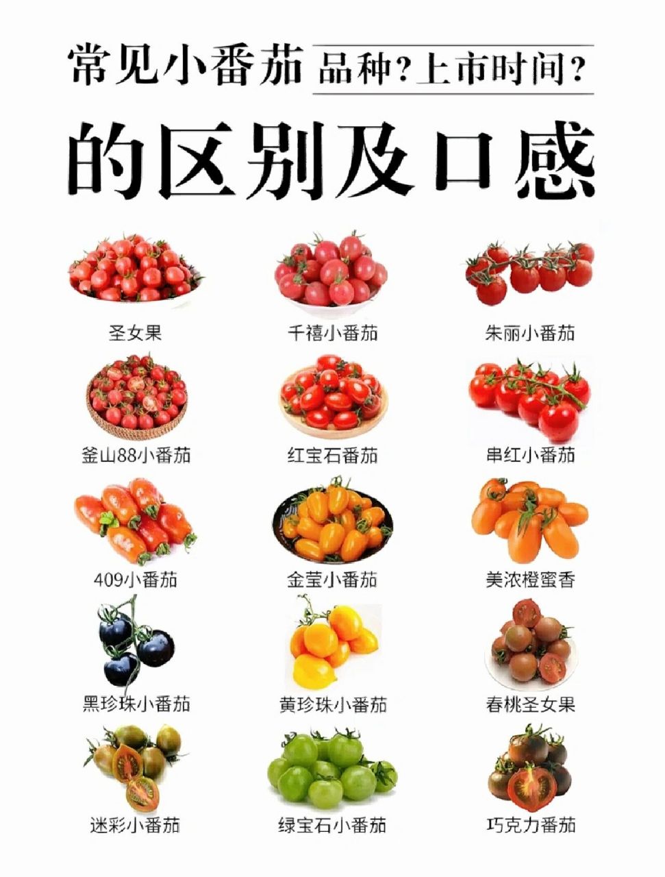 【小番茄合集】种类和口感你知道了嘛?