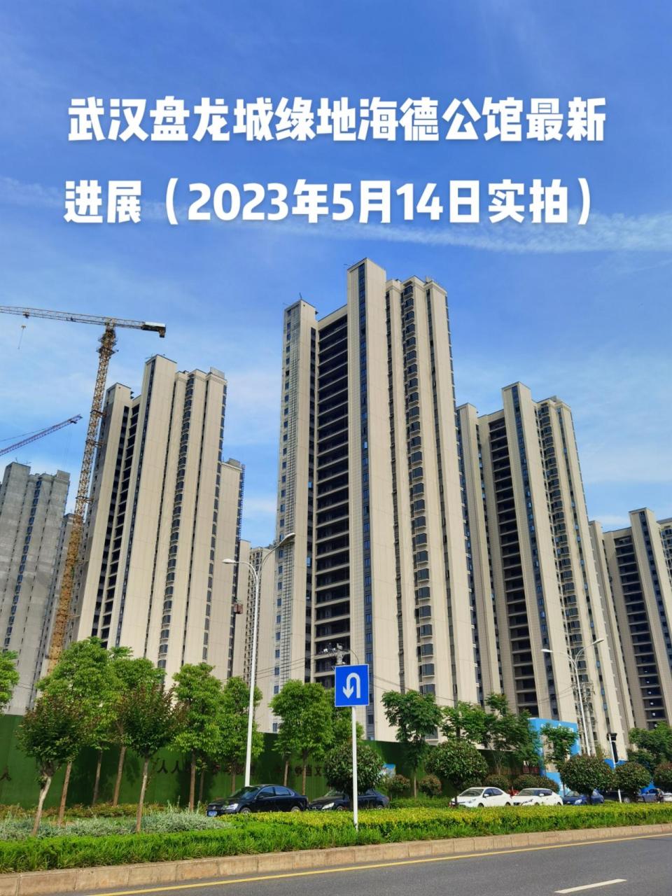 武汉盘龙城绿地海德公馆最新进展.