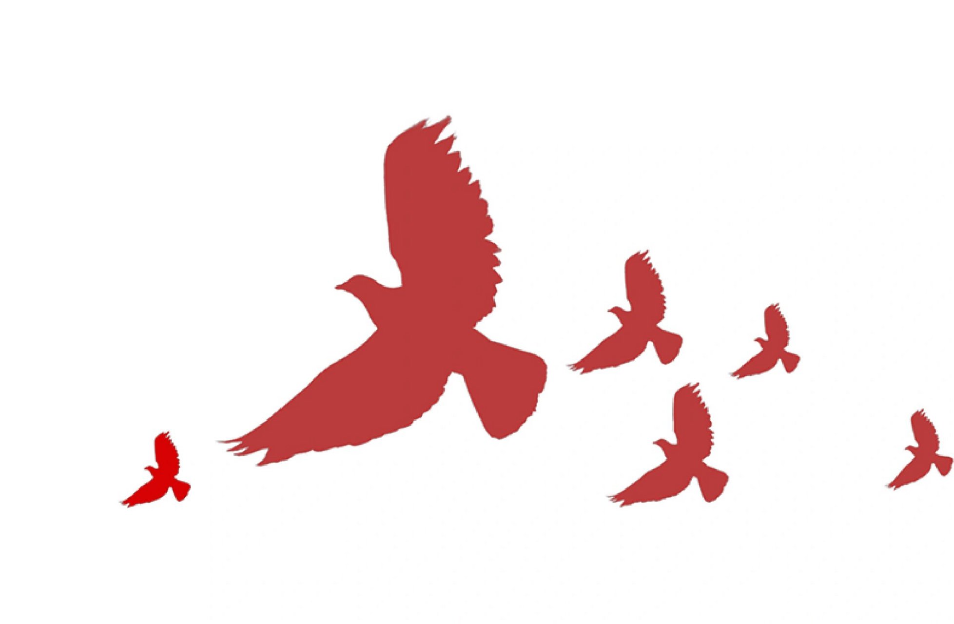 免扣素材 | 红色和平鸽        鸽