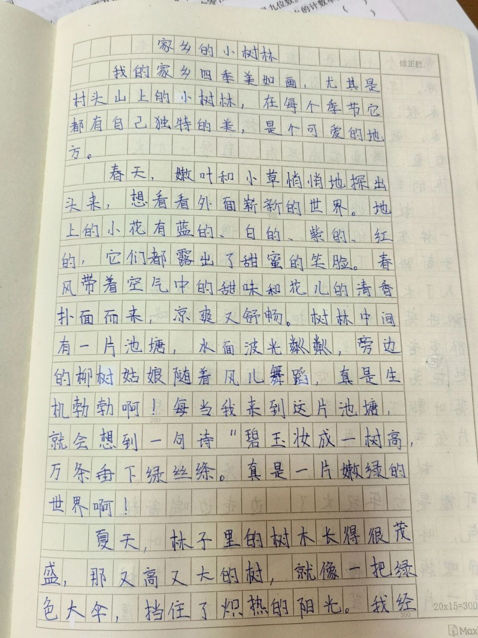 四年级作文