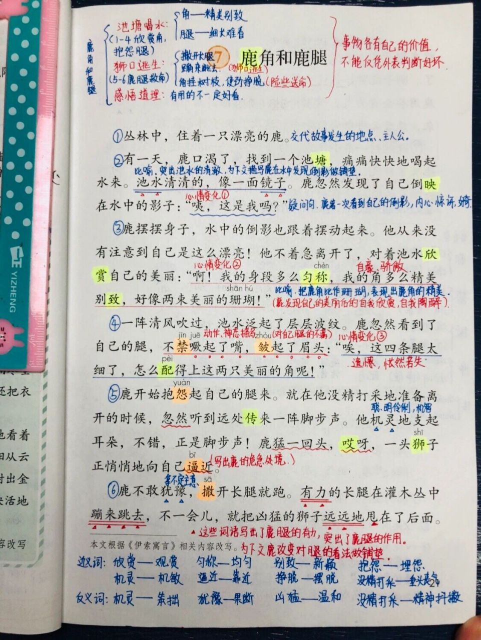 鹿角和鹿腿课文图片