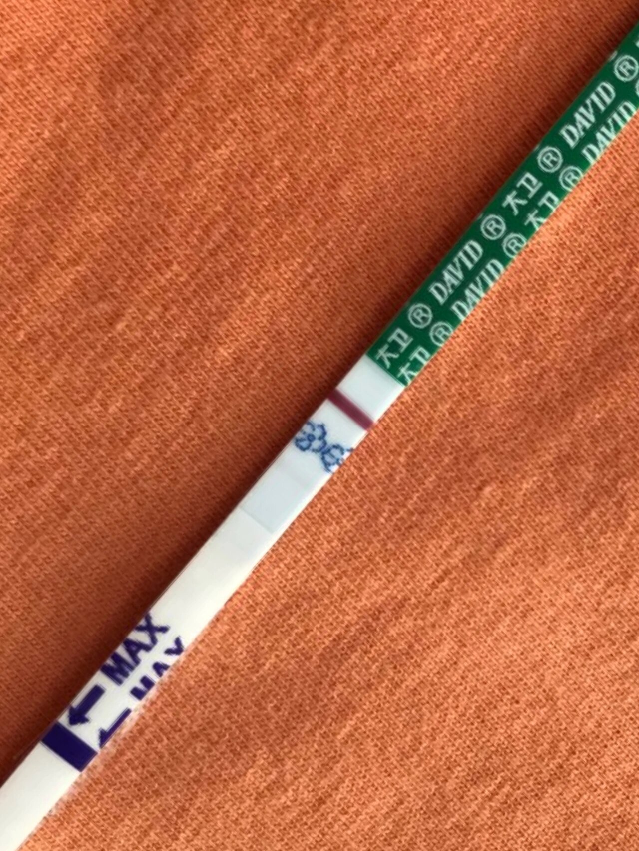 早孕试纸的"意念灰"是怀孕了吗