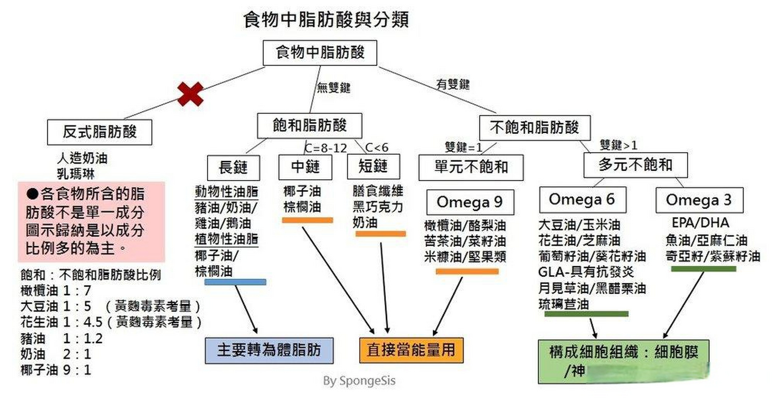 多元不饱和脂肪酸omega-3 对人体非常重要.