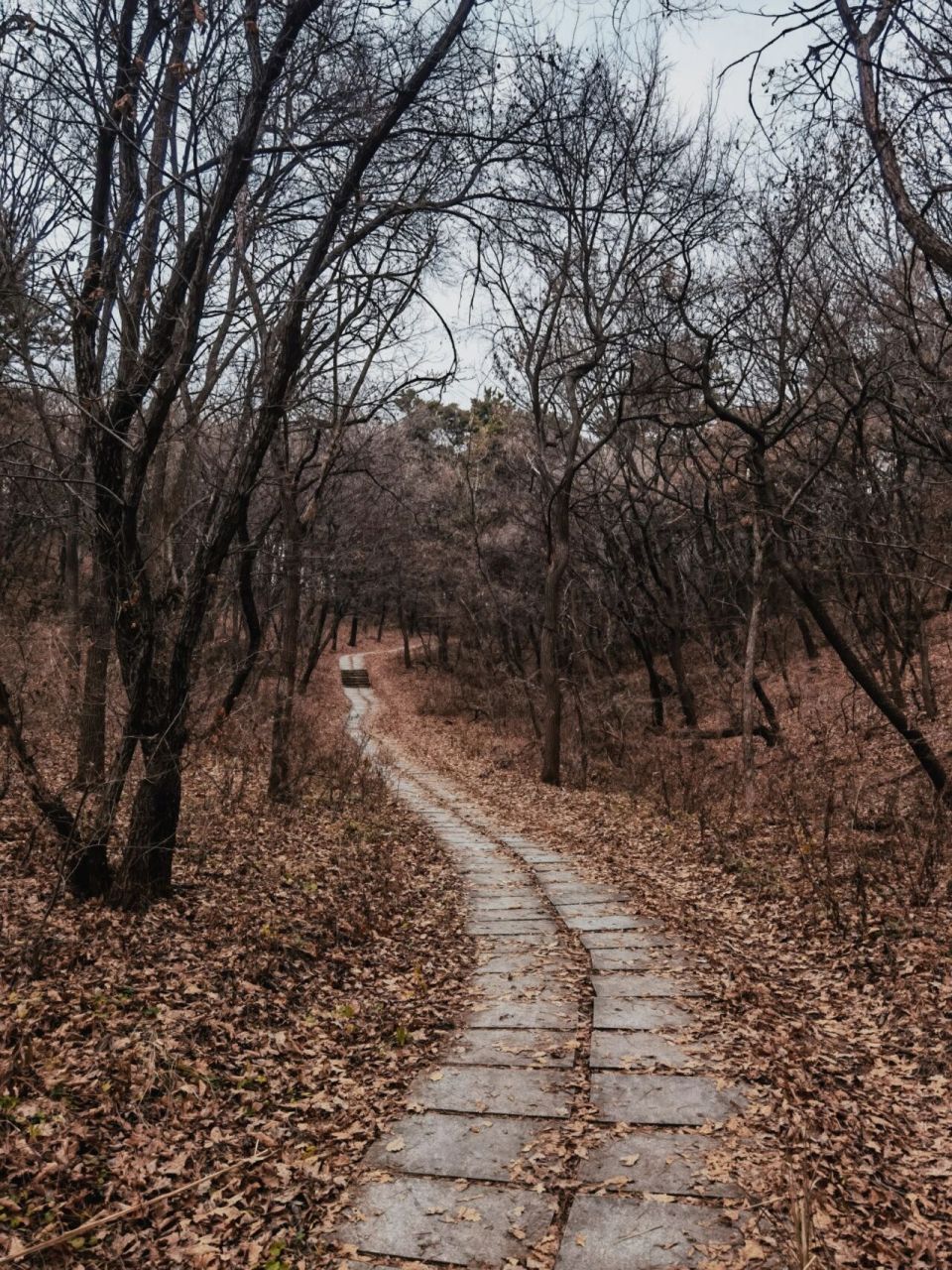 四山连爬之大洋山 导航:大洋山森林公园,进入棋盘山,过了关东影视城城