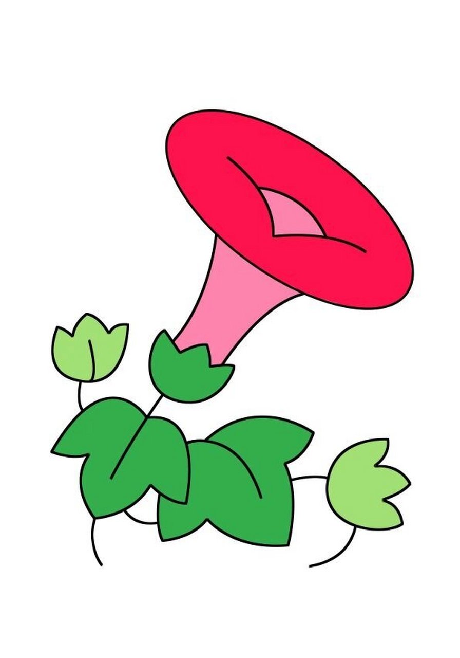 儿童手绘简笔画|牵牛花