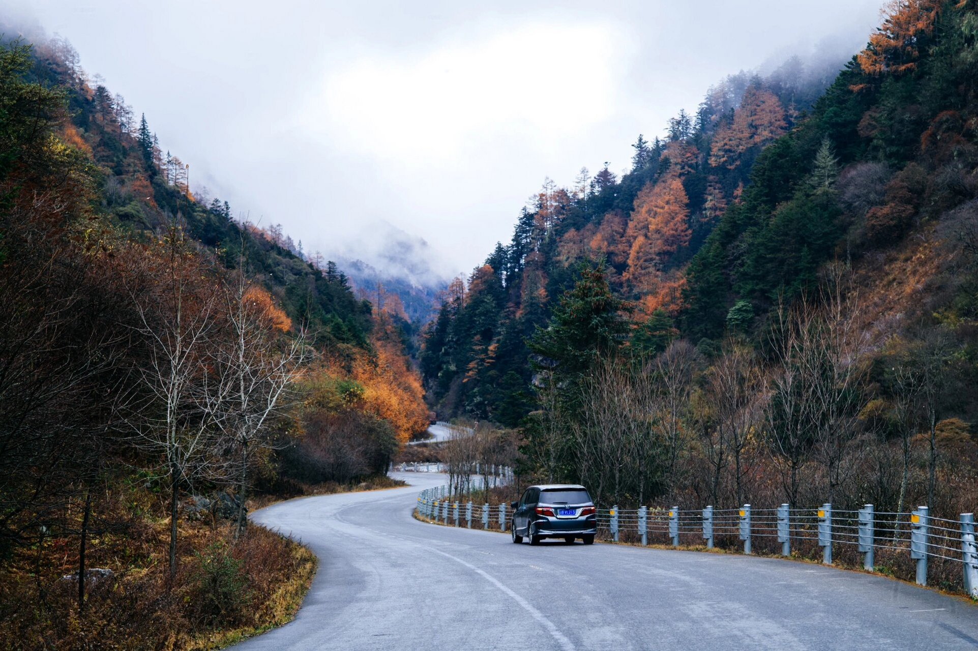 灭门徕卡s006后的回忆 徕卡s006最大的问题是脱膜,二是对焦,三是镜头