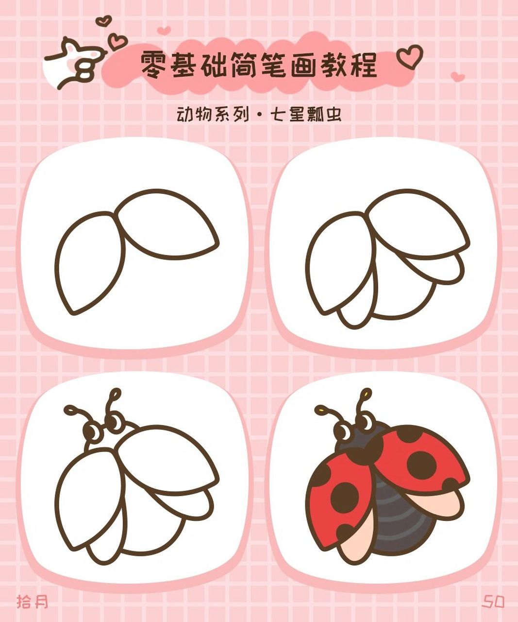 简笔画教程·动物系列·七星瓢虫94 七星瓢虫在不同季节的活动场所