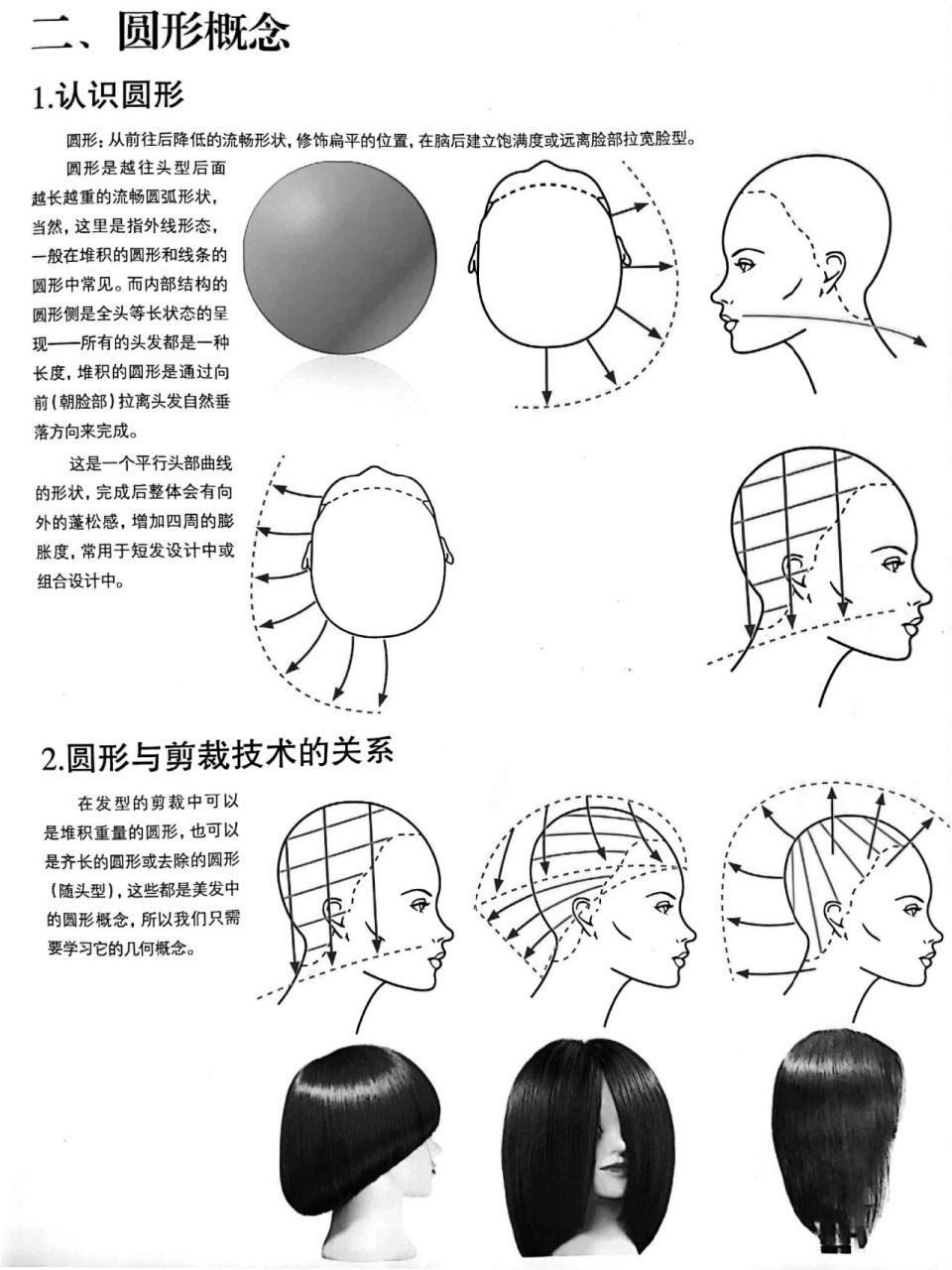 美发角度认识图解图片