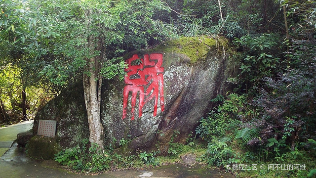 贺州天林大瀑布图片