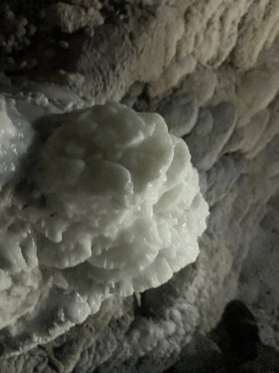 终于知道钟乳石为什么叫钟乳石了🌟 真的有像牛乳一样洁白细腻