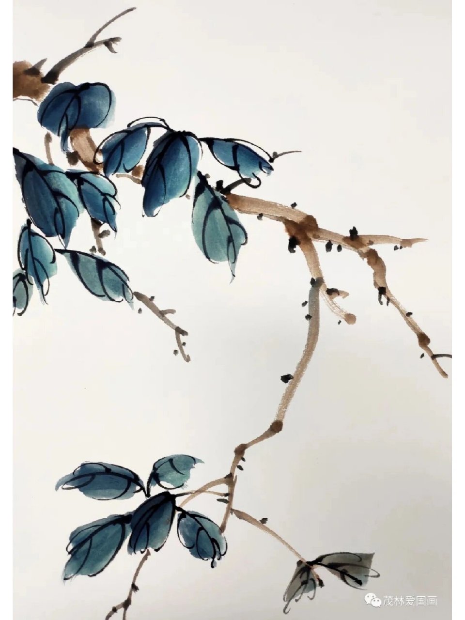 先画柿子叶,调花青三绿加少许墨色,画叶子注意叶子的组合关系,三两