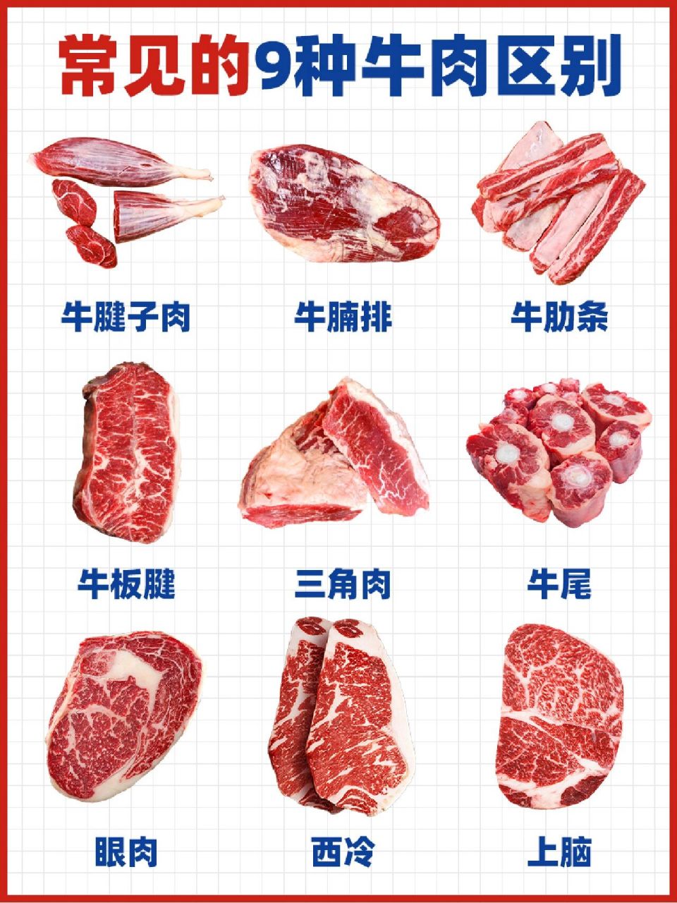 09干货总结75常见9个牛排部位区别和做法 一头牛90身上的部位