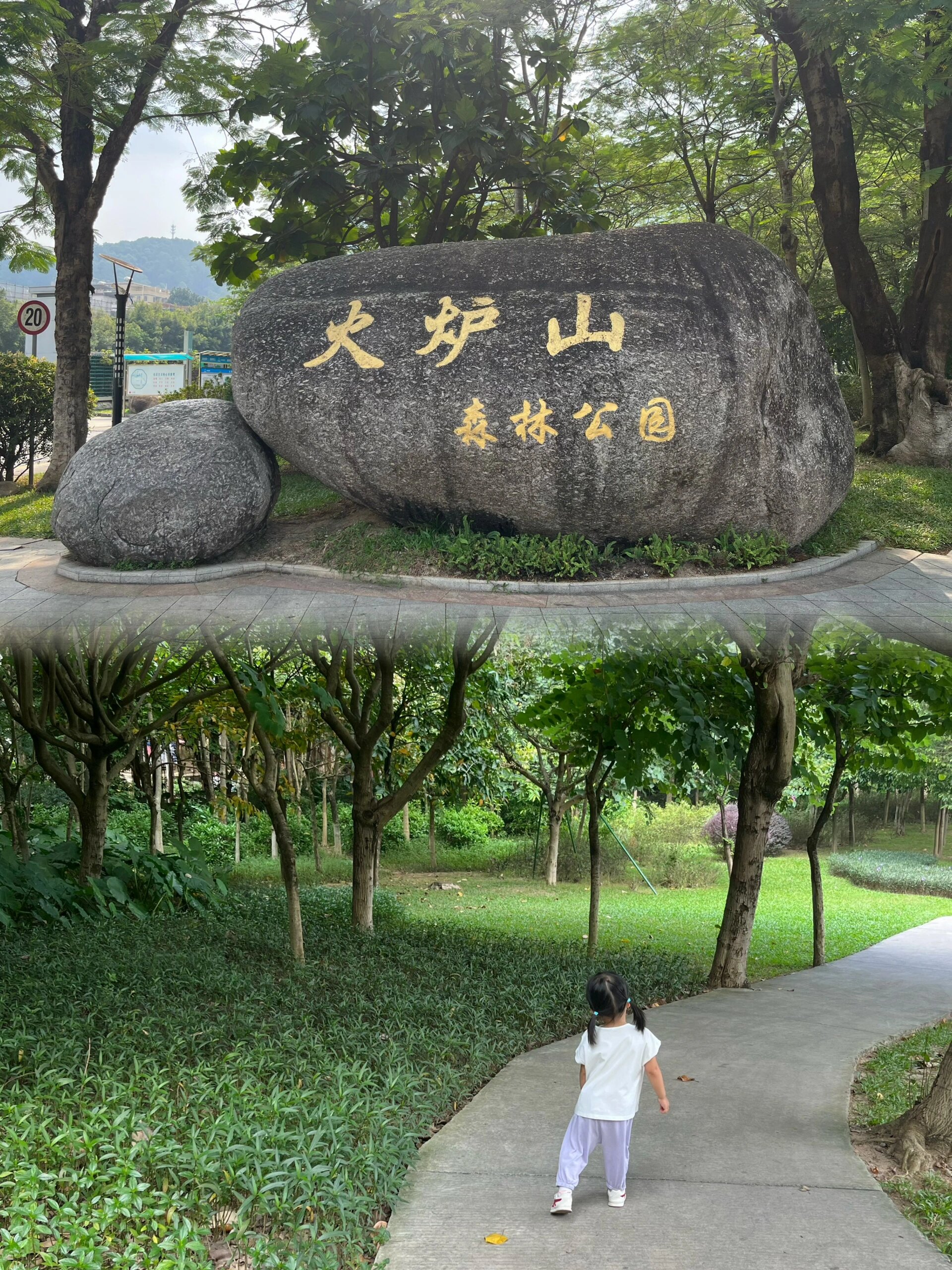 火炉山森林公园