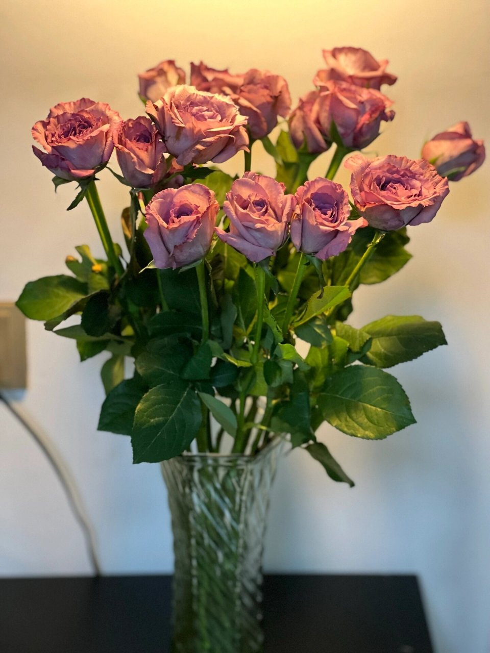 浓香型选手—暮光之城玫瑰 暮光之城是一款浓香型紫色系玫瑰,花瓣厚实