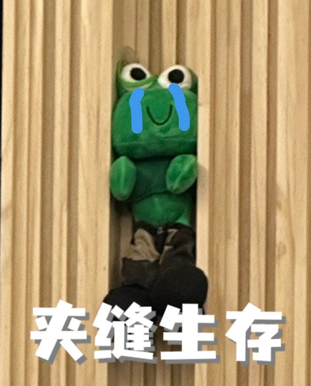 夹缝生存表情包