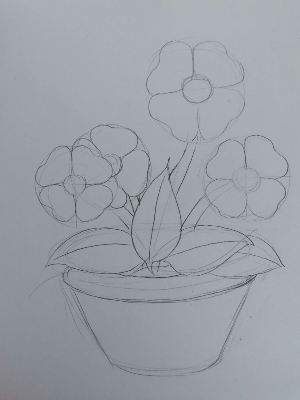 简笔画(97)跟我一起画盆花