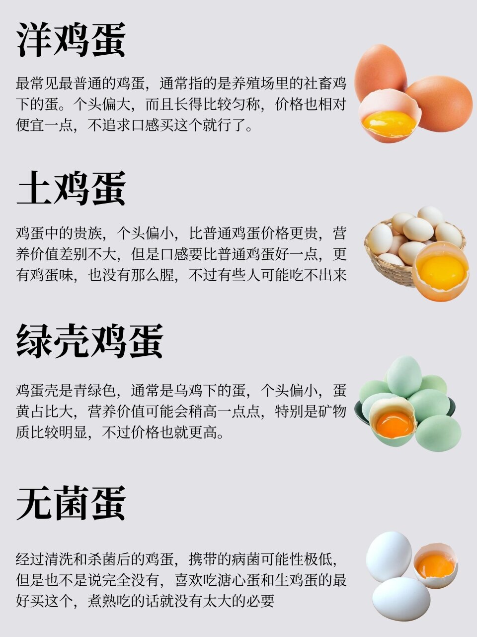 鸡蛋的结构与作用图片