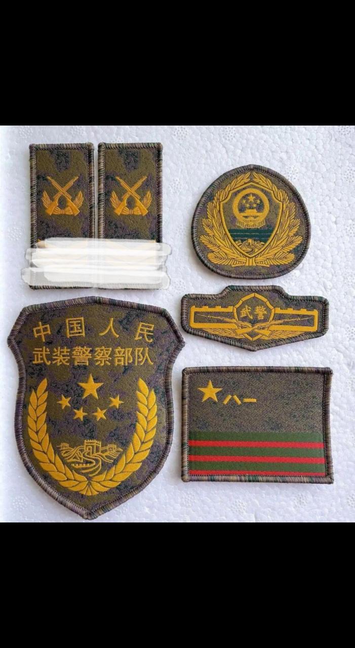 新式武警作训服,臂章,胸标,帽徽
