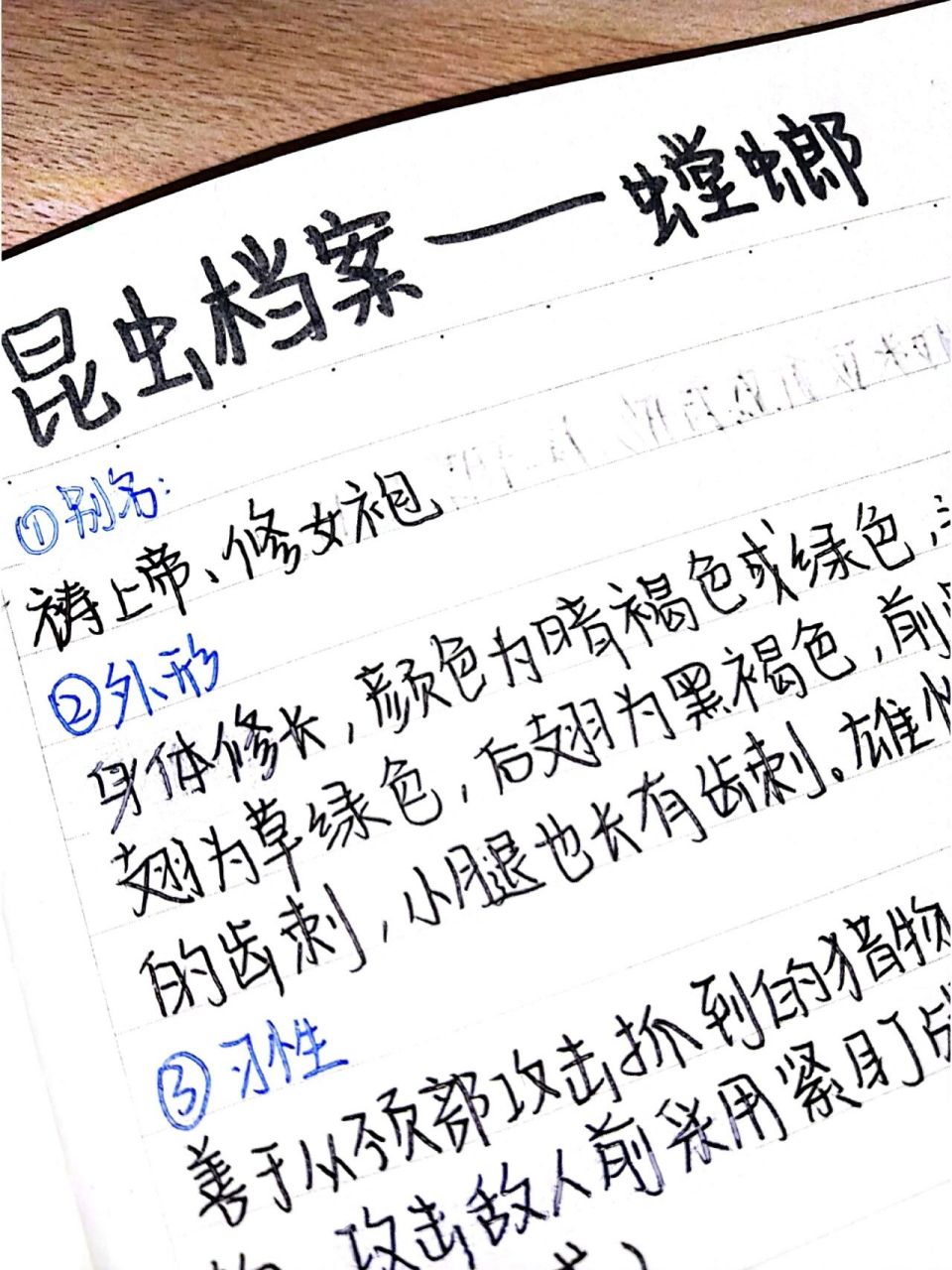 昆虫档案—螳螂 更新了  更新了