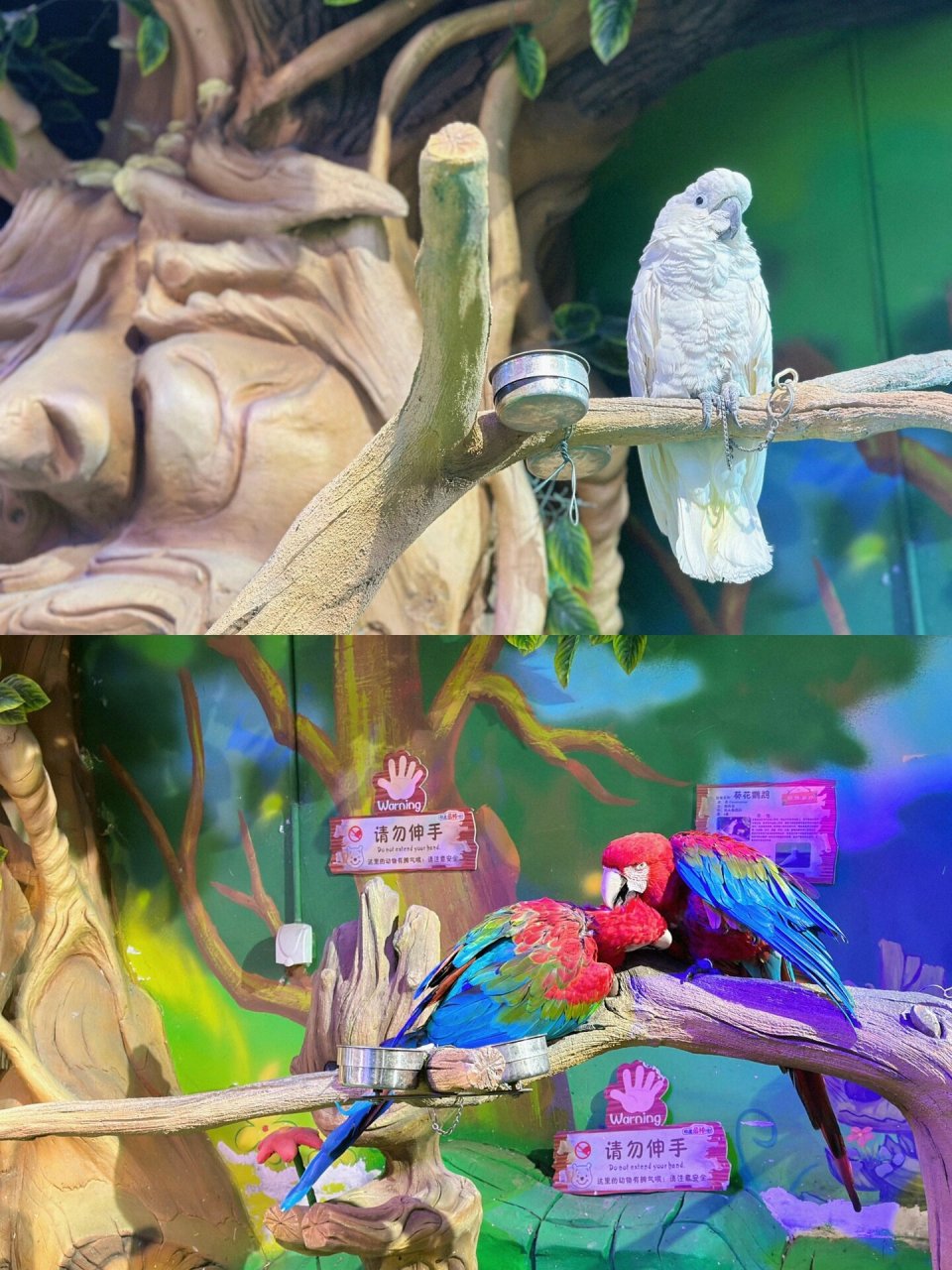 西安周末遛娃好去处|城市动物园 很护食的崽没想到今天喂小动物喂的好