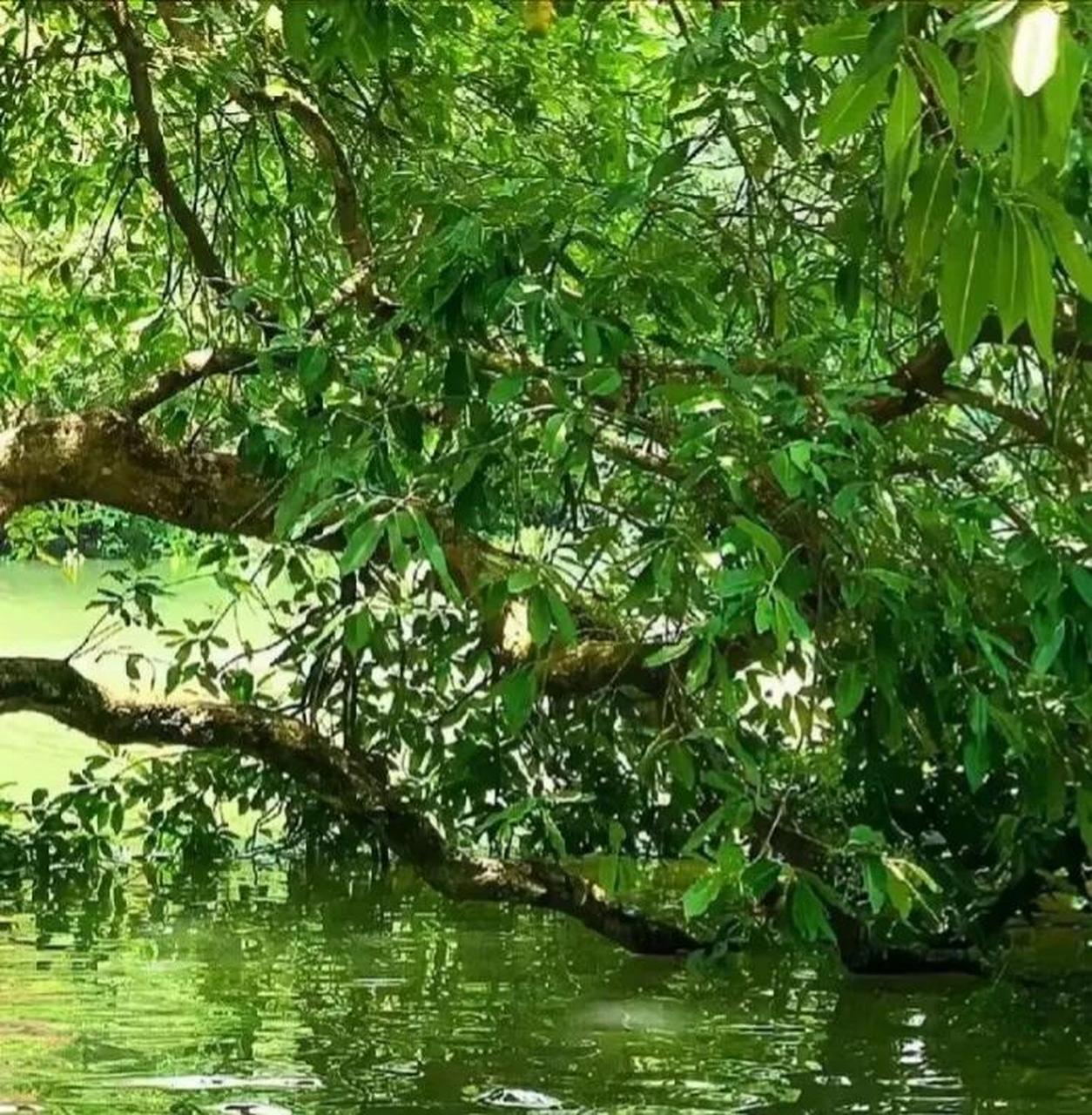 今天早上一觉醒来,听说临沂地震了,真的假的,睡觉睡的太死,根本就没有
