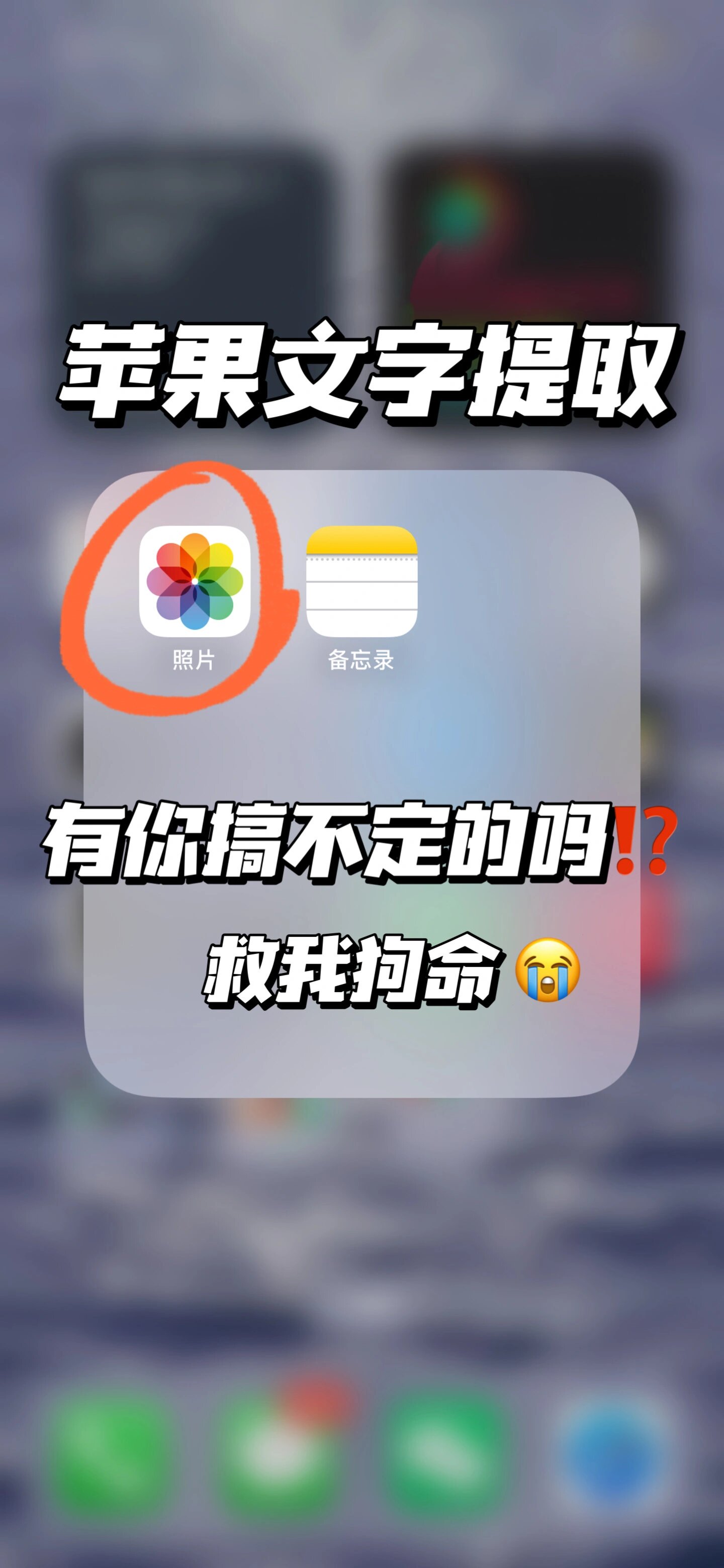 我不允许76大家还不知道苹果的文字提取6015