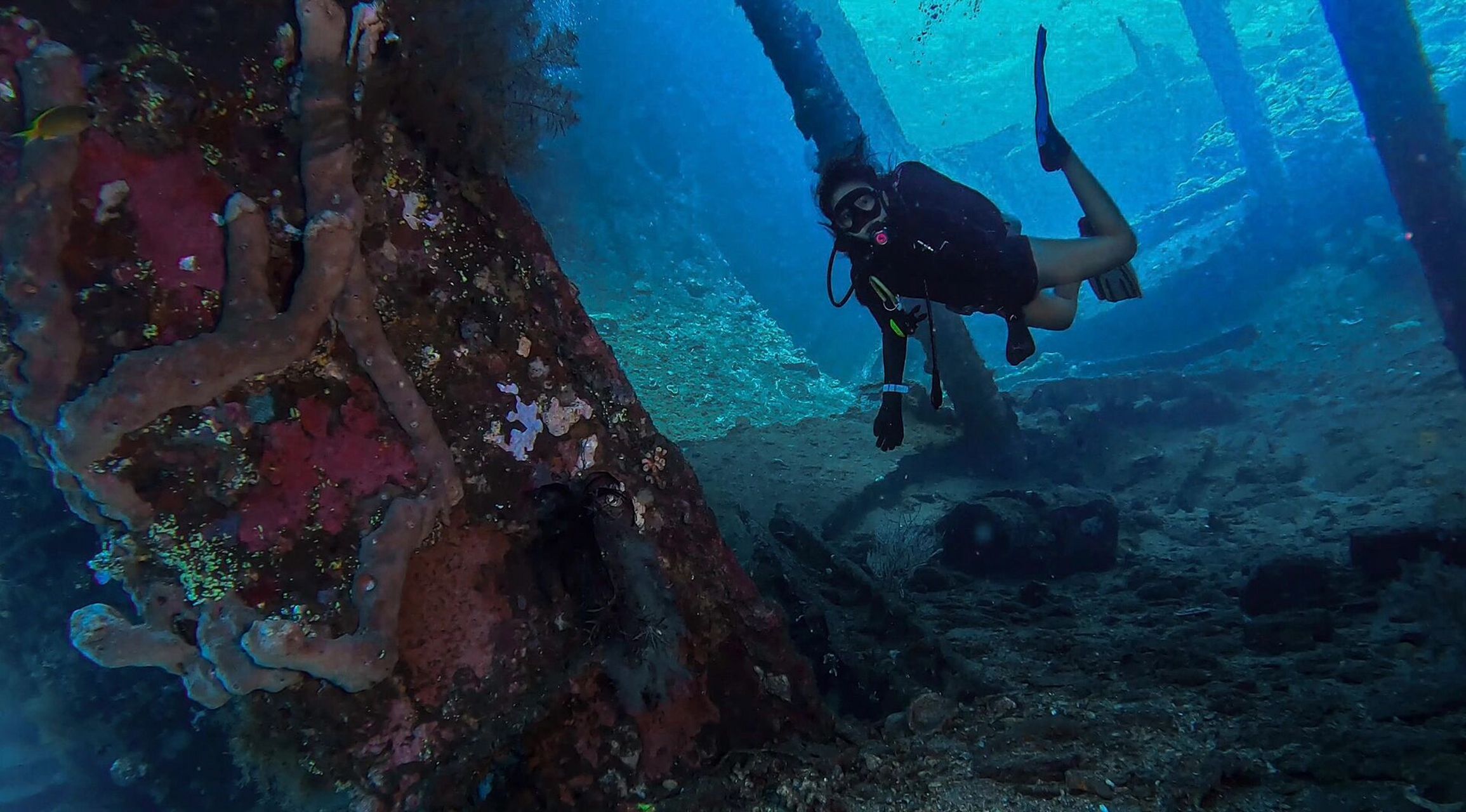 巴厘岛·图蓝本·自由号潜水07 30度的水温 水流稳得像游泳池 轻