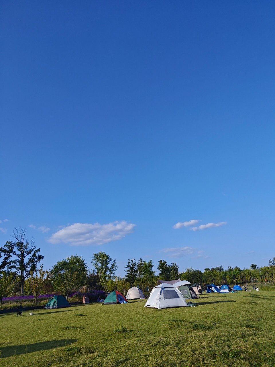 露营好去处～新站区少荃湖湿地公园 新站区少荃湖湿地公园,这几天有