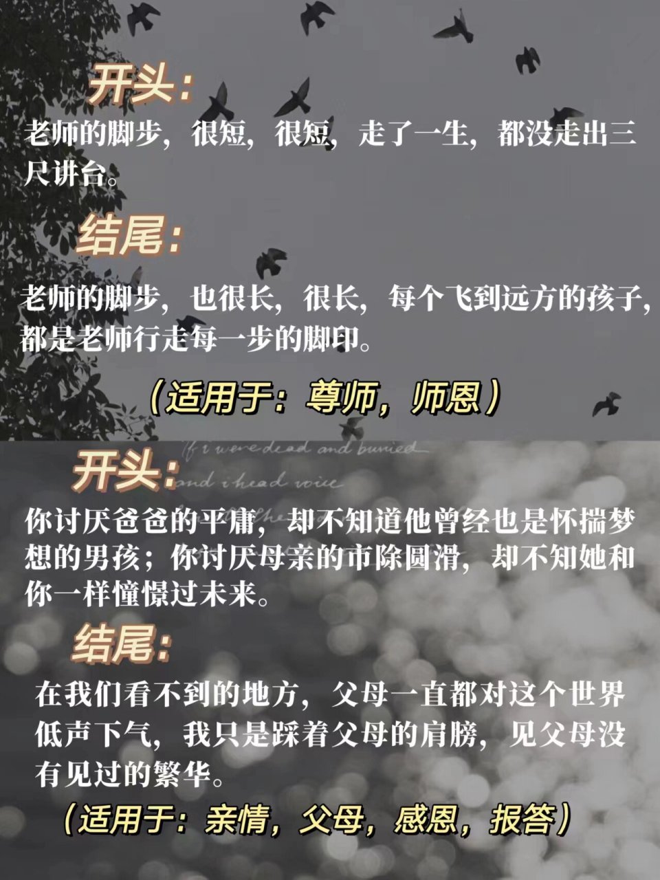 我会被文字打动# #惊艳到你的句子# #神仙作文开头结尾# #满分作# 