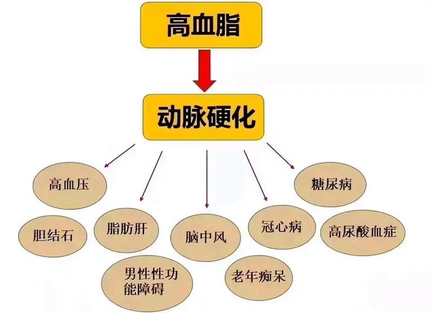 高血脂是心血管疾病的重要危险因素,因此,对于高血脂的诊断和治疗非常