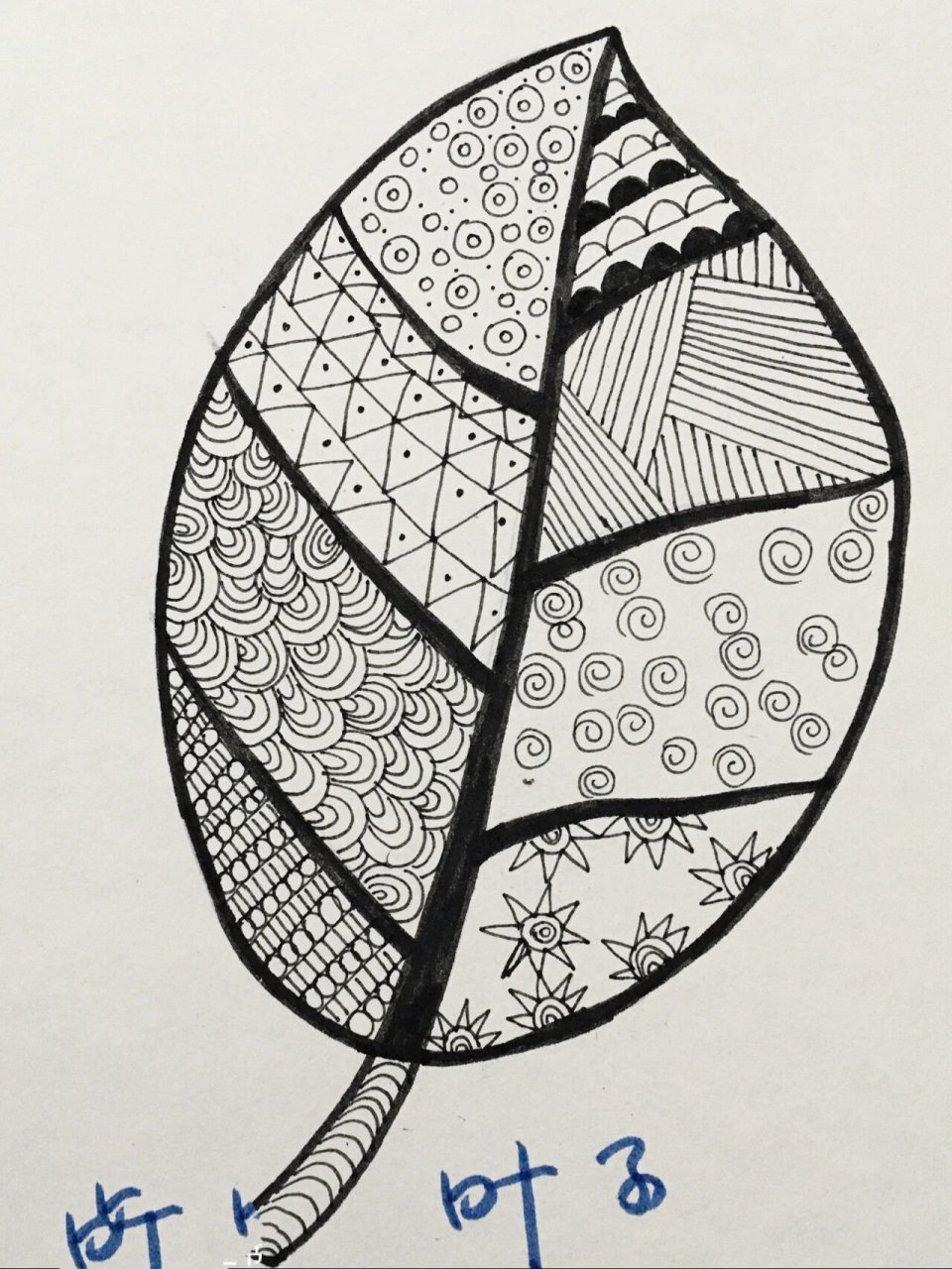 树叶|线描画|装饰画|控笔练习 今日更新入门级树叶线描画79可在树叶