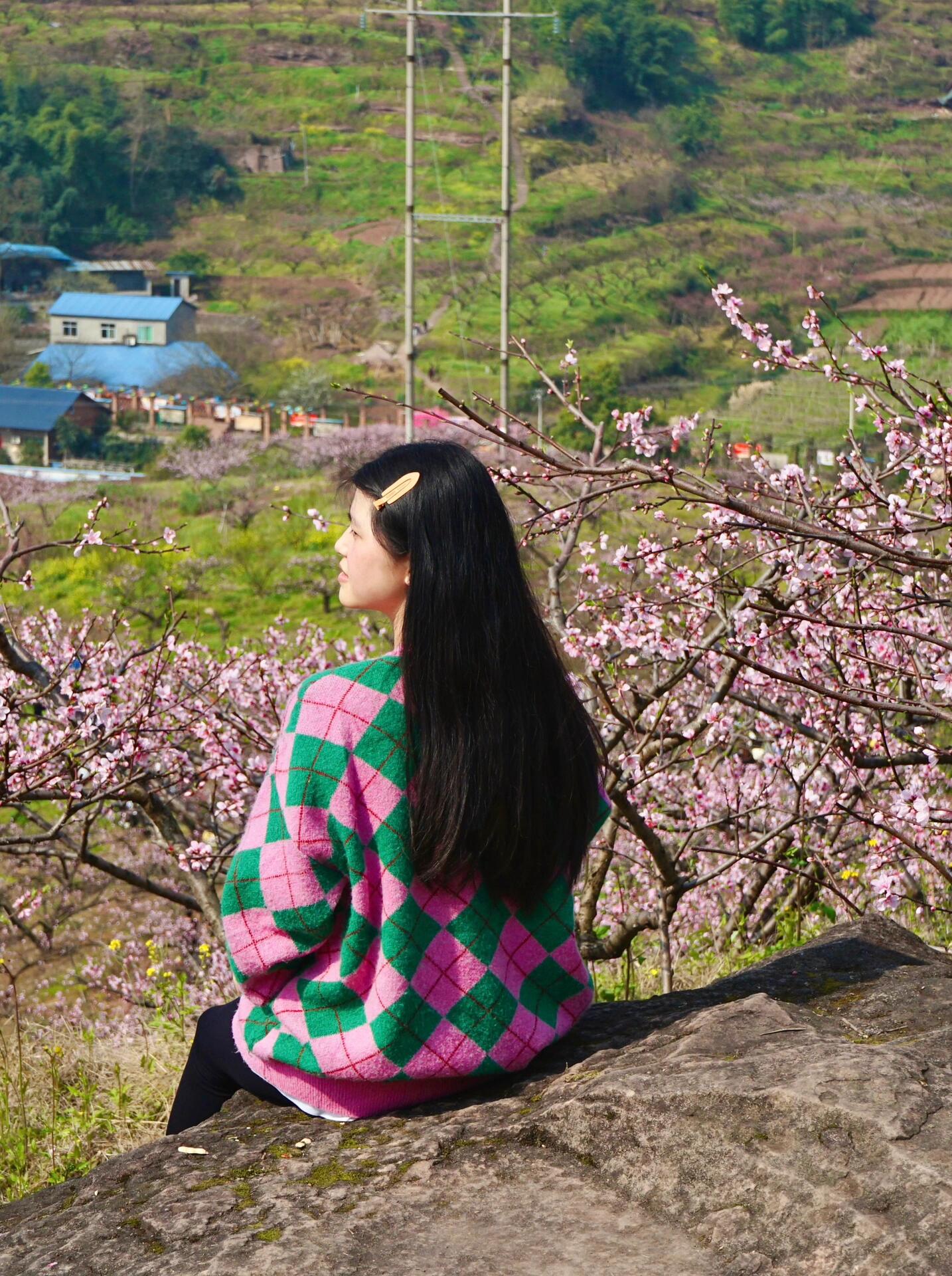 合川太和镇桃花山图片