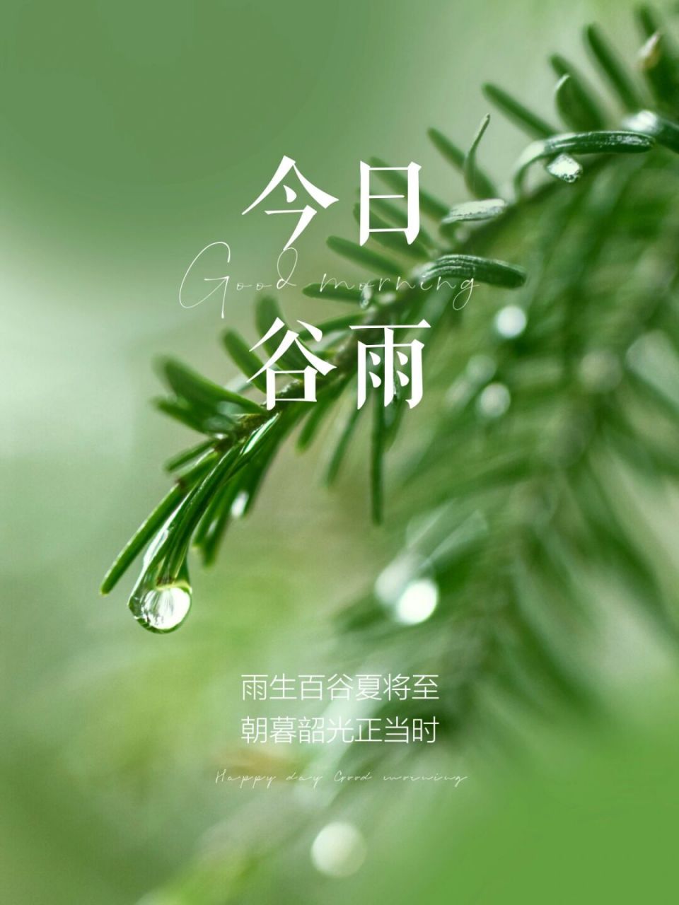 今日谷雨|朋友圈高级文案|小清新美图海报 01 雨后万物长,山海春色安.