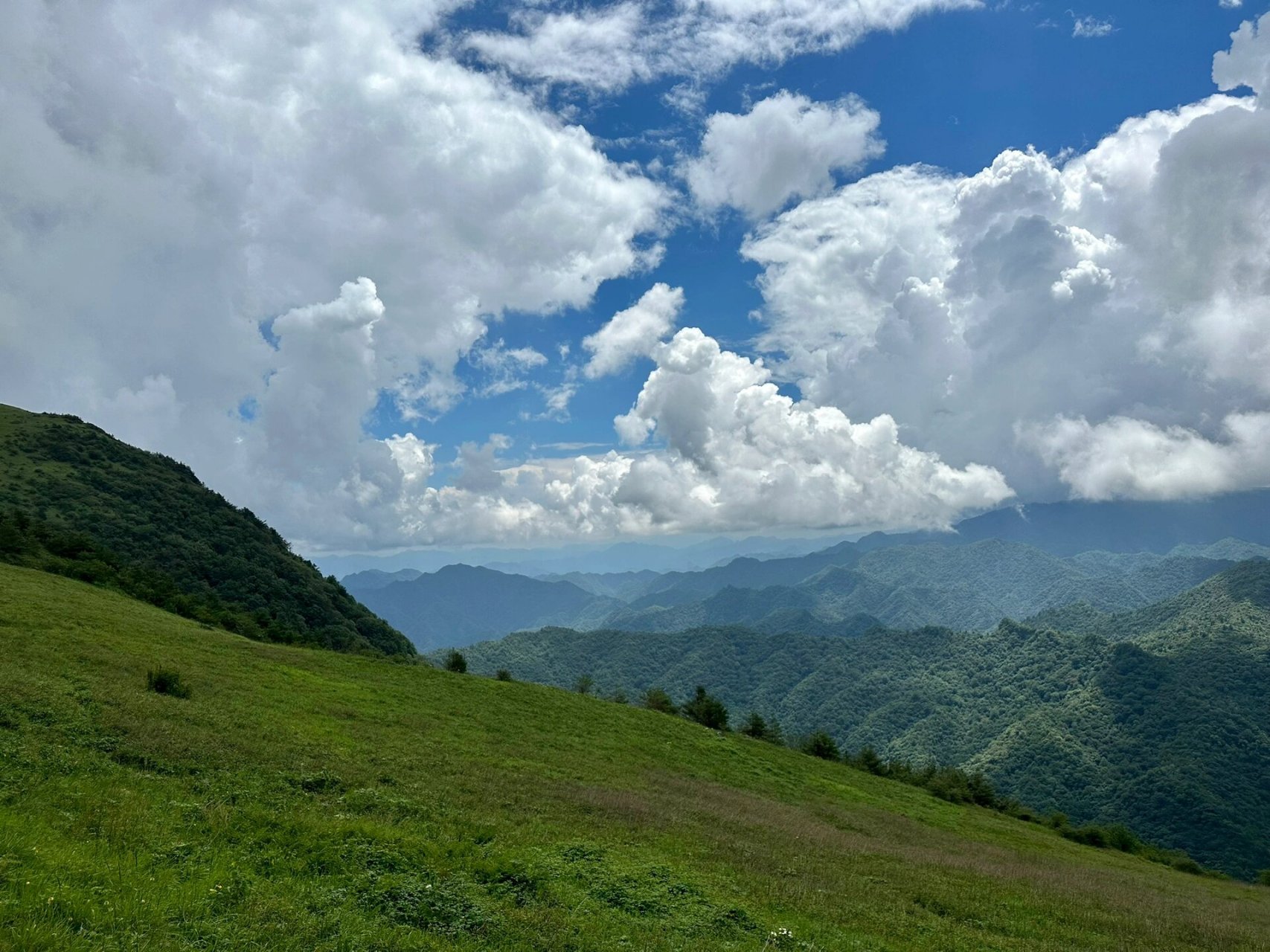 紫柏山-最容易到达的秦岭高山草甸 紫柏山位于汉中市留坝县,门票35元,
