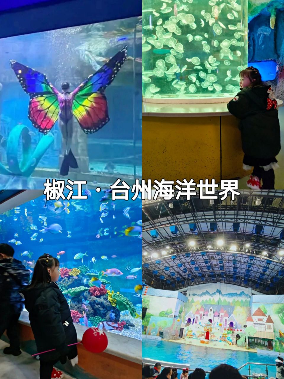 世界安排起来09 99坐标:台州市椒江区广场中路38号(台州海洋世界)