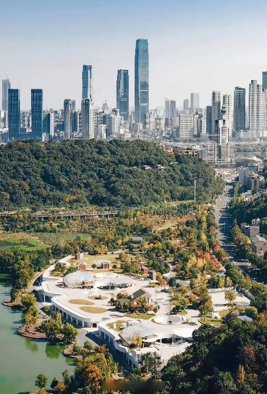 据了解,该滑板公园位于长沙西湖公园,是湖南首个公园里的专业滑板场地