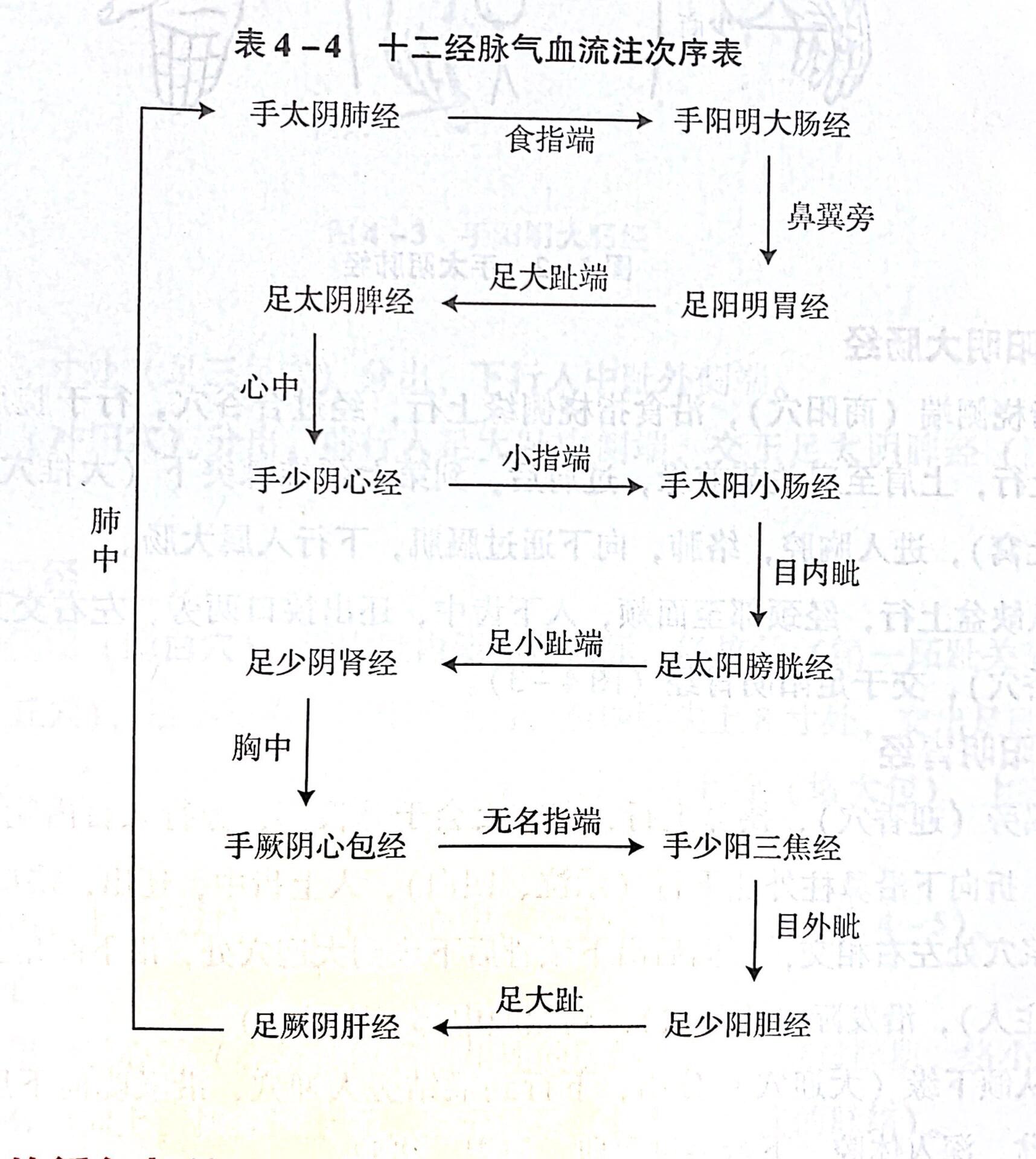 十二经脉气血流注次序表