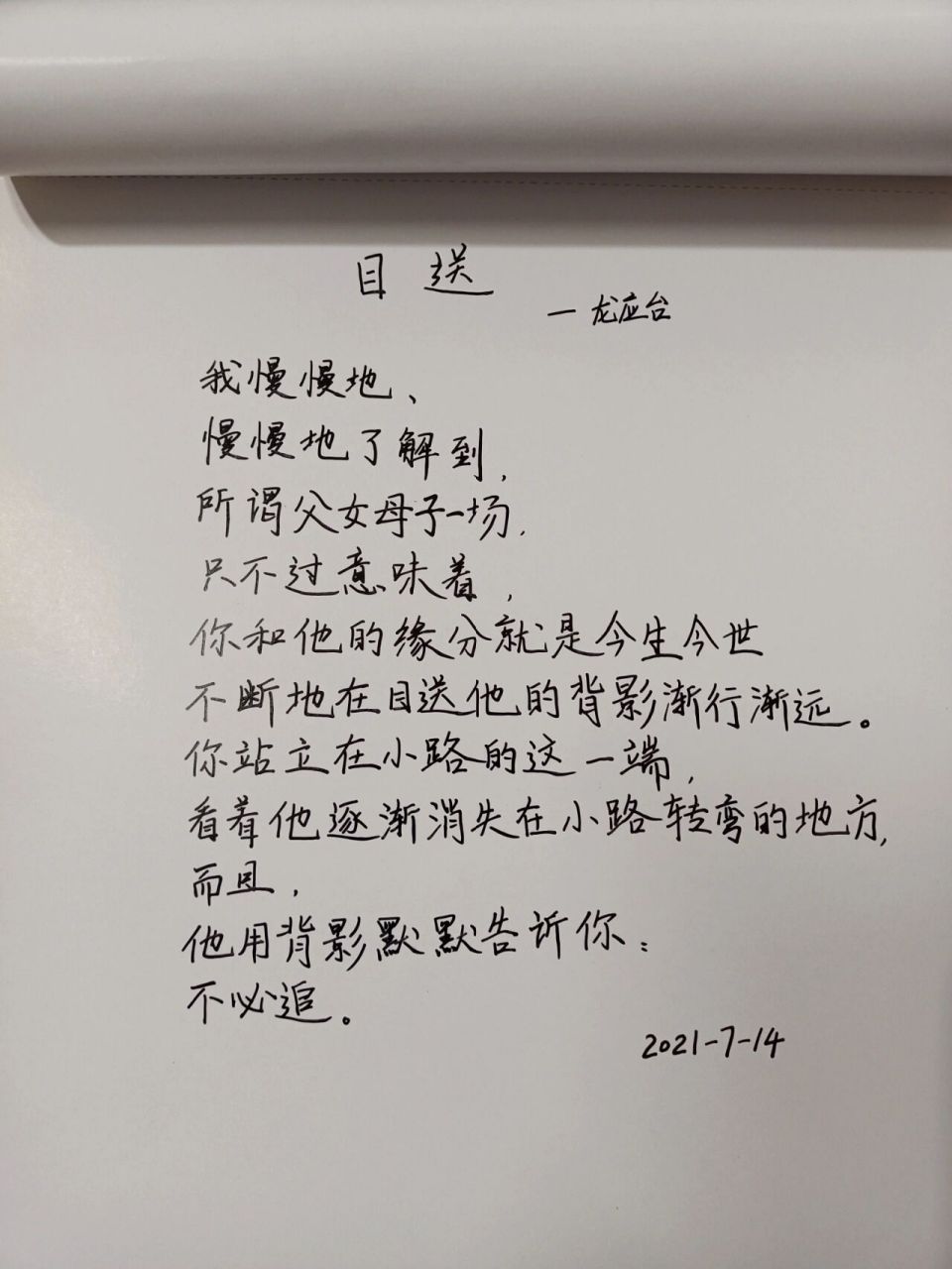 今日摘抄《目送》龙应台 我慢慢地, 慢慢地了解到, 所谓父女母子一场