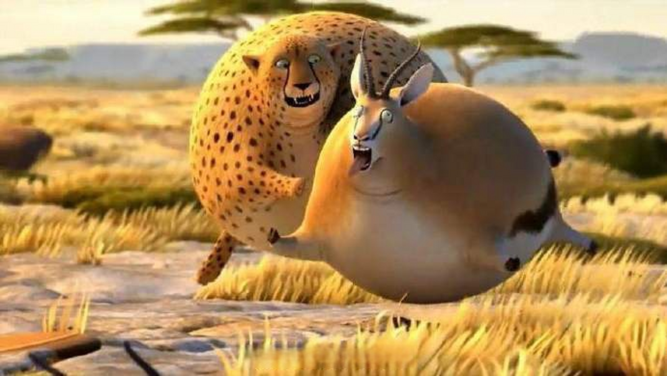 beer belly啤酒肚,如:hes got a beer belly. 他都有啤酒肚了22.