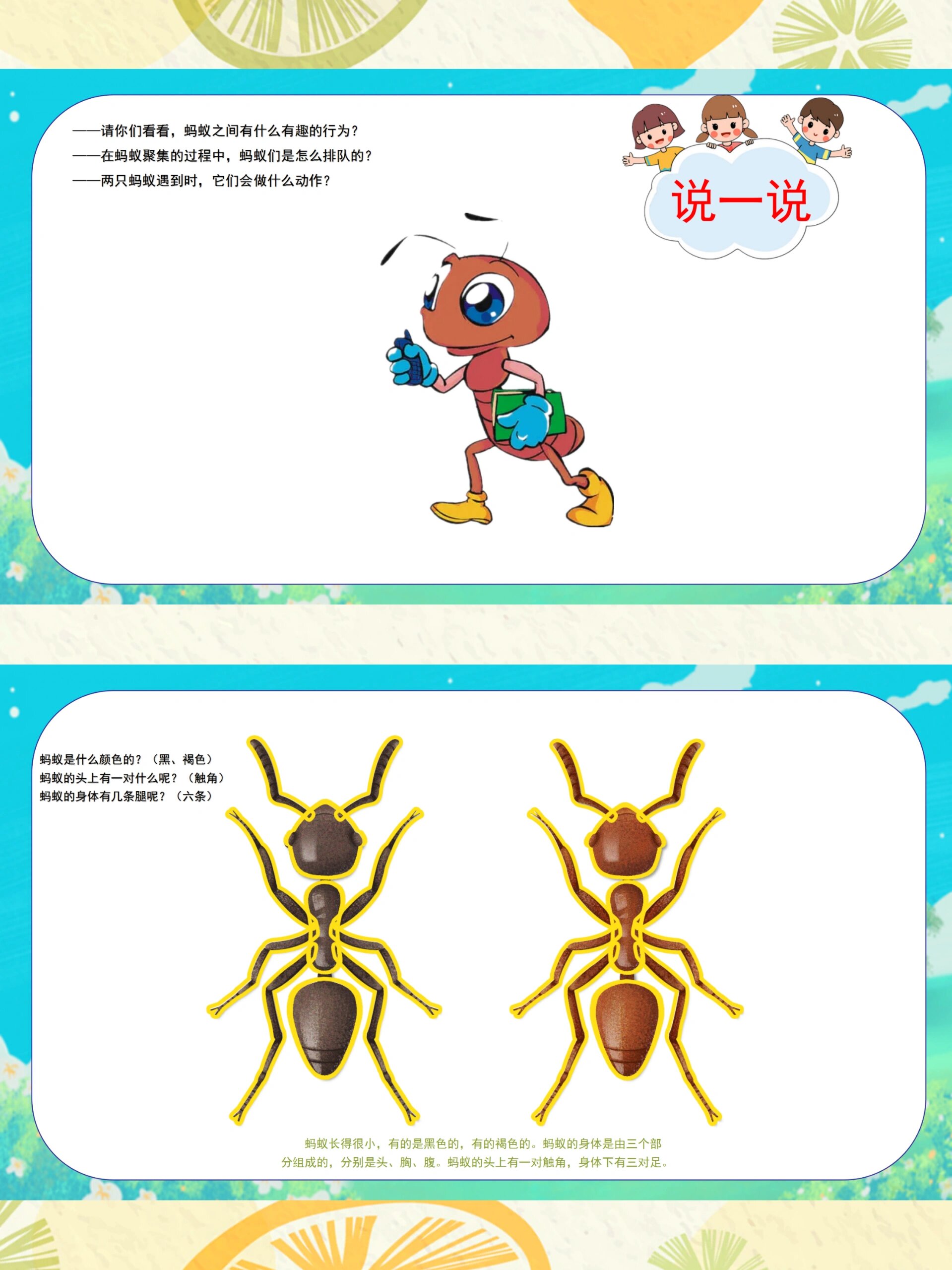 对蚂蚁感兴趣,萌发探究蚂蚁的好奇心.