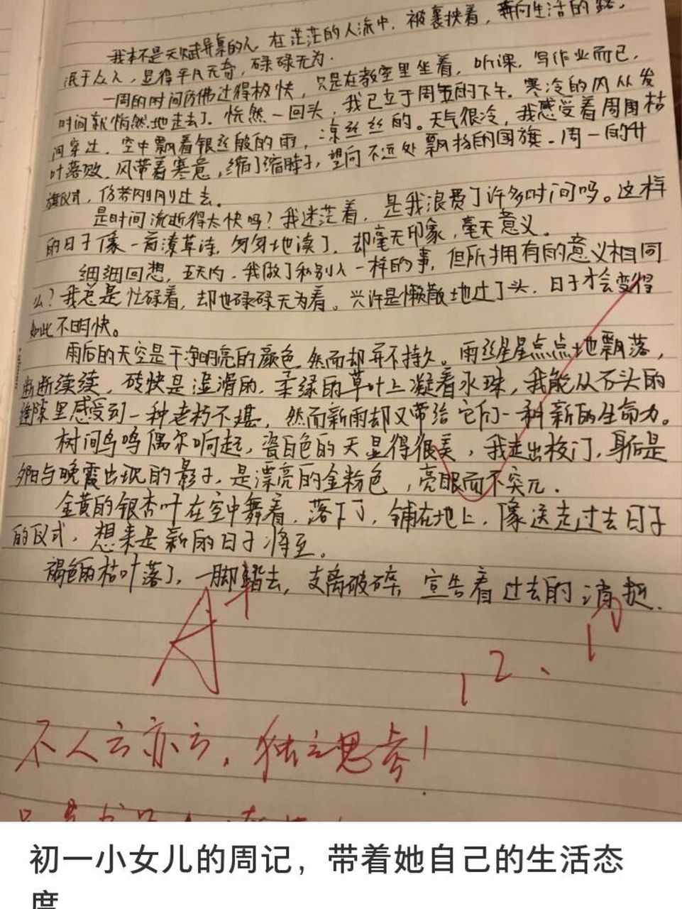 周记 初二 抄写自