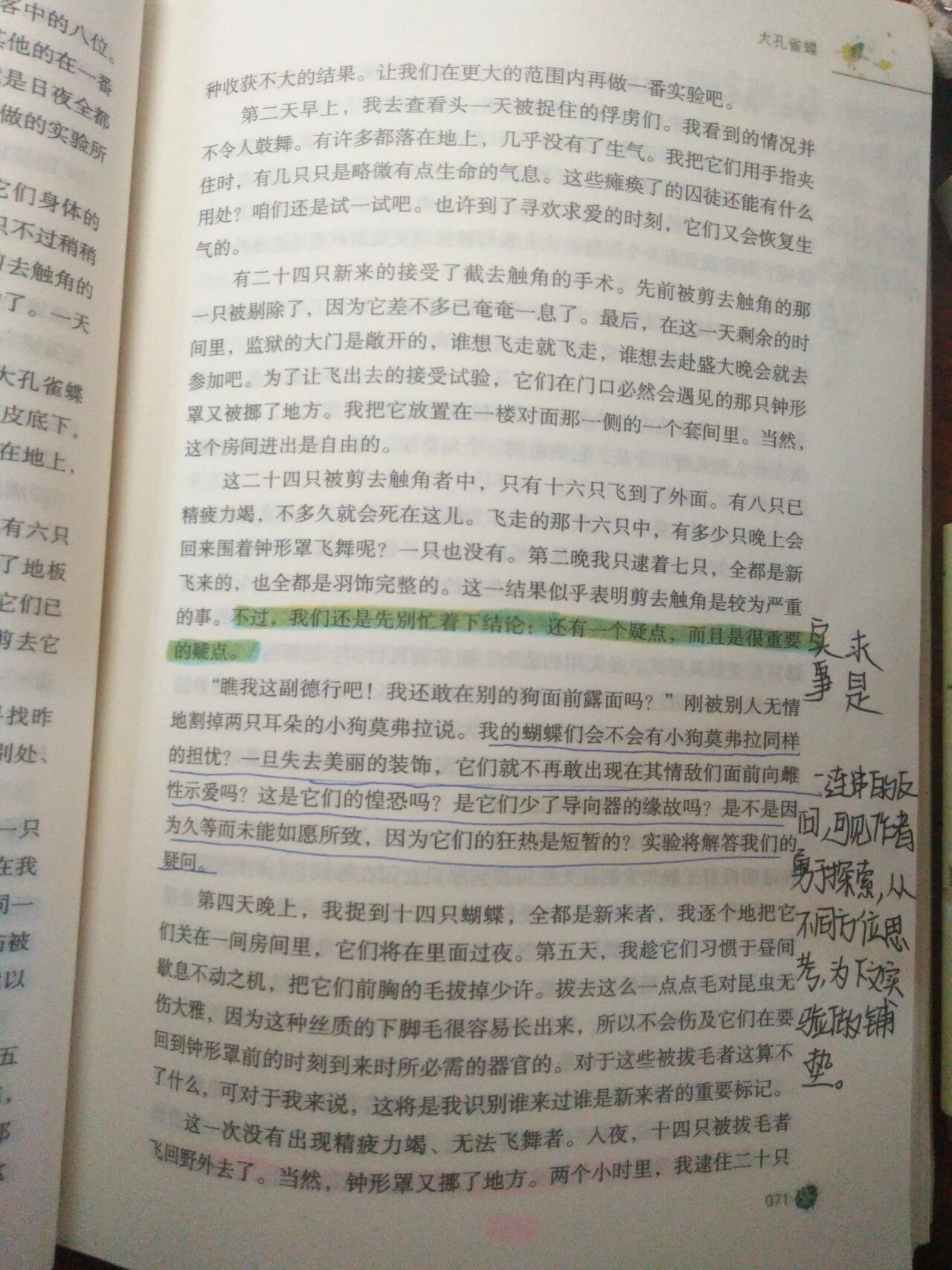 大孔雀蝶批注图片