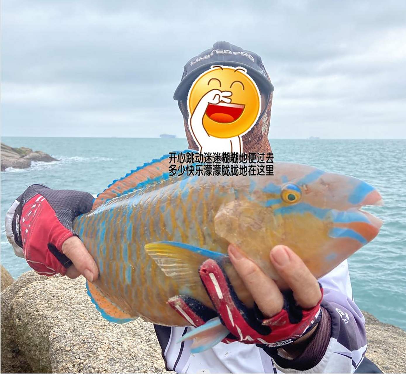 这是一种海鱼,名青衣鱼(青衣鱼)也是妾鱼的异名