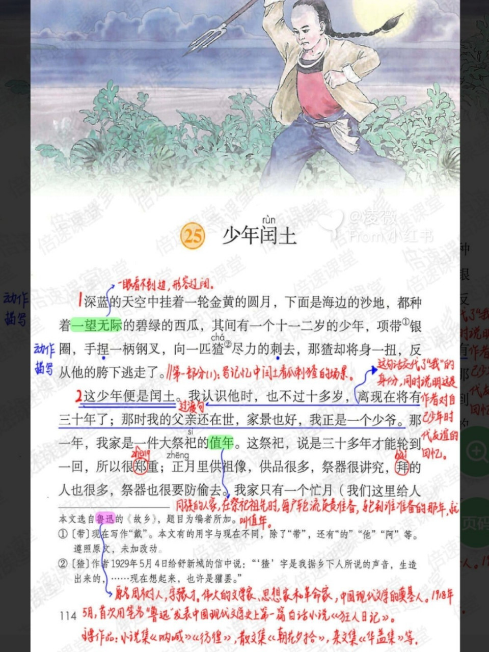 六年级上册|部编版语文|第25课少年闰土|预习笔记