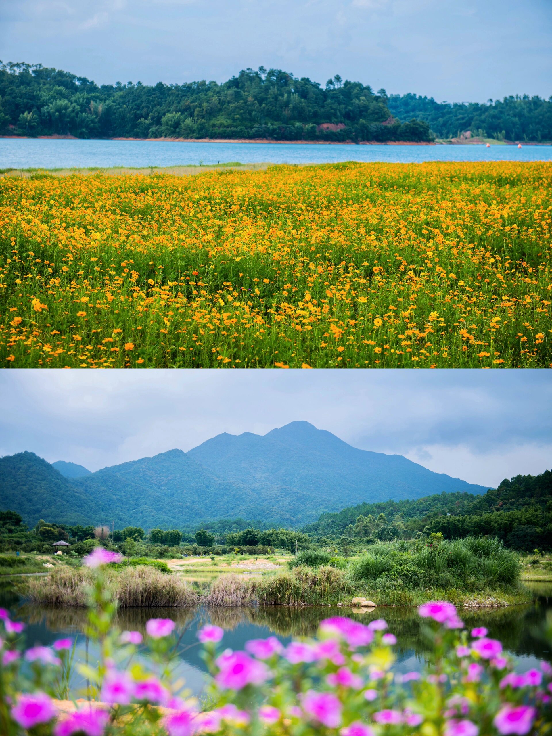 河源万绿谷,隐于山水之间的奢野度假秘境