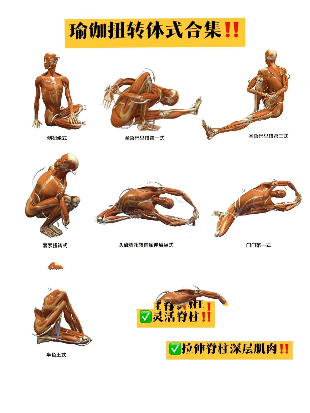 瑜伽扭转体式合集|灵活脊柱97瑜伽老师必备