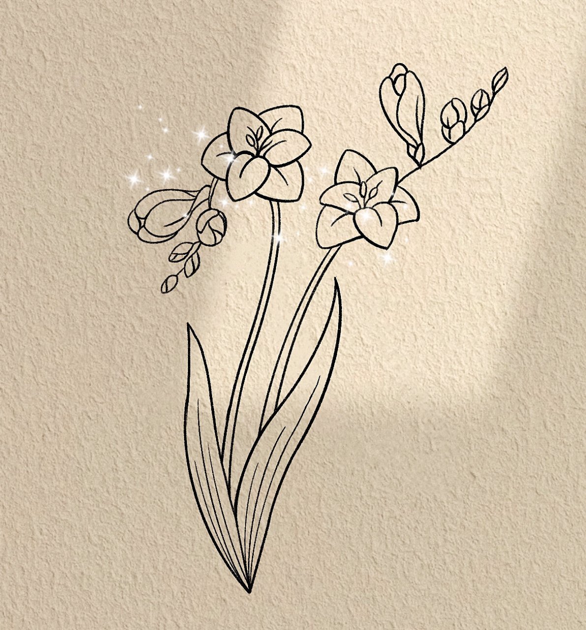 99零基础学画画|小苍兰步骤图 #画画的日常# #笔记灵感# #画画# #简