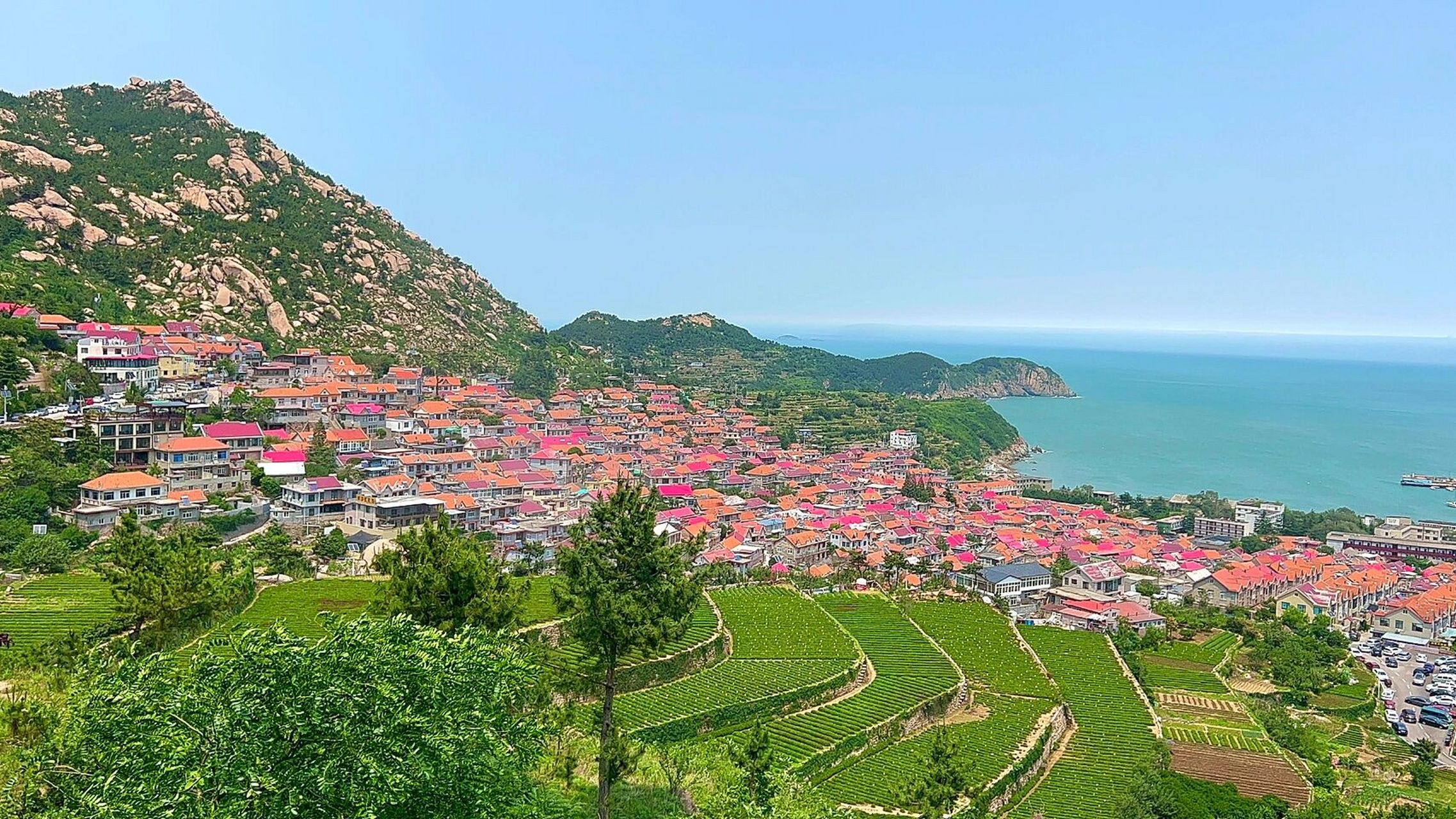 青岛崂山最值得去的地方|青山渔村 在青岛呆的几天里 最让我留恋的是